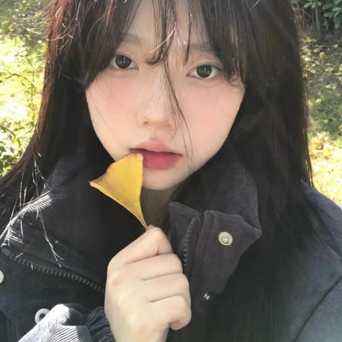 八角笼