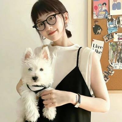 代号美洲豹
