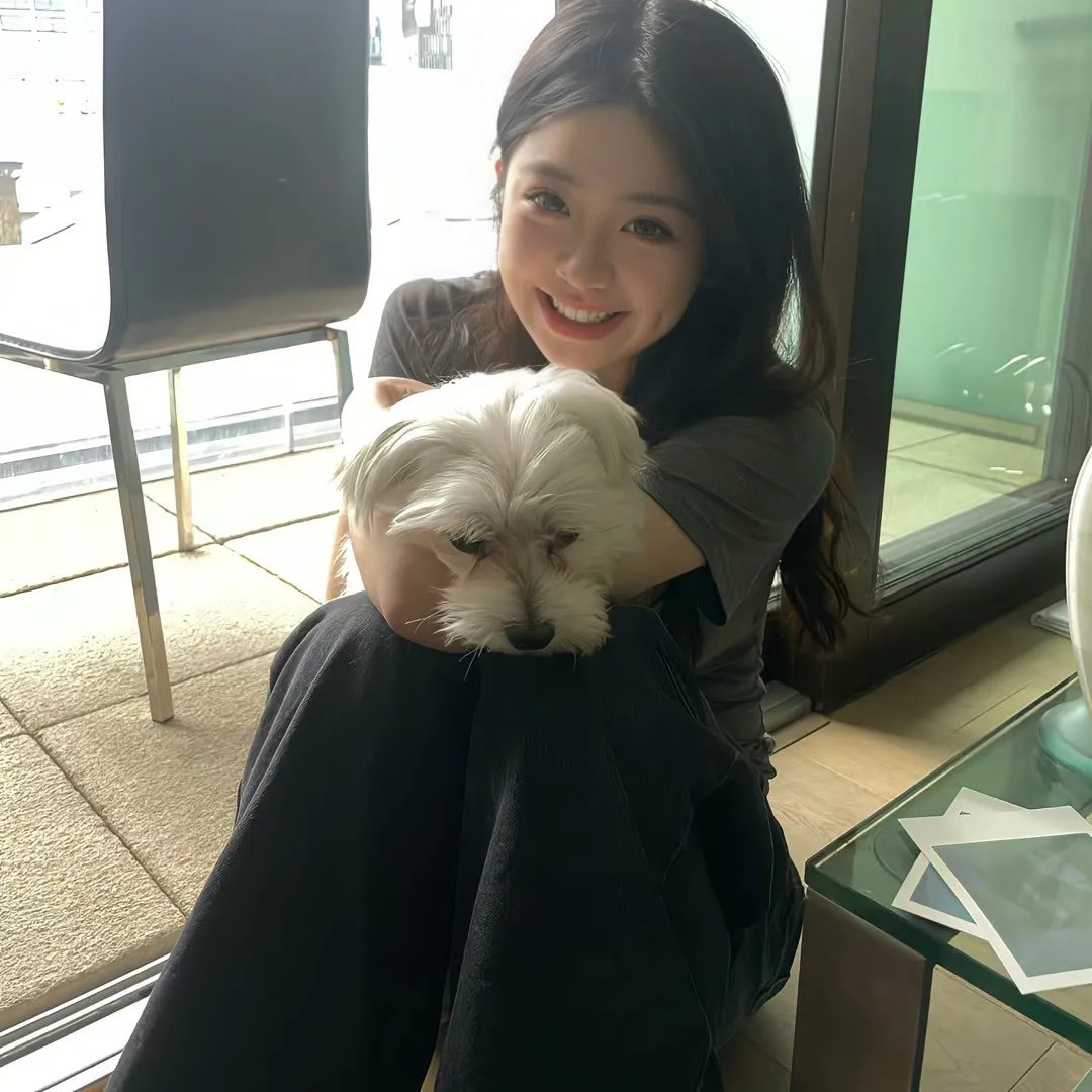 疯狂巨齿鲨